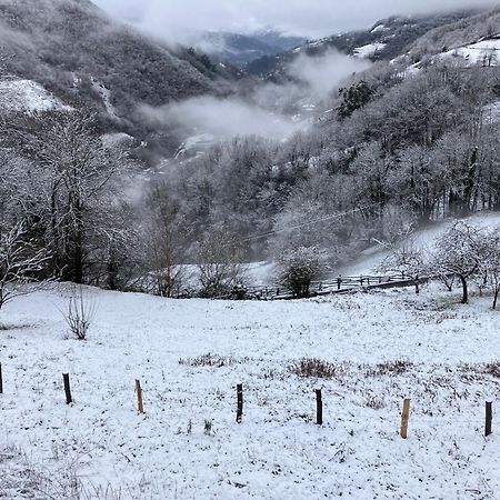 Armiello La So Casa -En El Corazon De Asturias 빌라 외부 사진